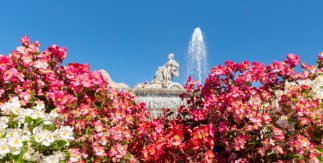 Cosas qué hacer en primavera en Madrid