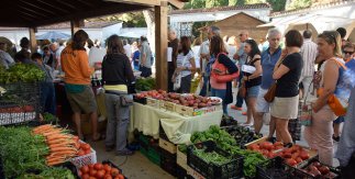 Día de Mercado de la Cámara Agraria