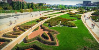 Fauna y flora en Madrid Río