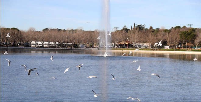 Lago de la Casa de Campo