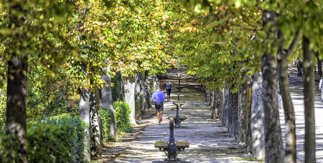 Parque de El Retiro. © Álvaro López del Cerro. Madrid Destino