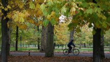 Ciclista en la Ruta Verde de la Casa de Campo