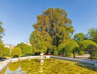 Rutas verdes. Madrid Sostenible